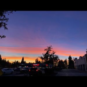 Meet your Posher, Ellena